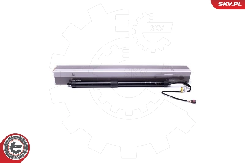 Electric Motor, tailgate